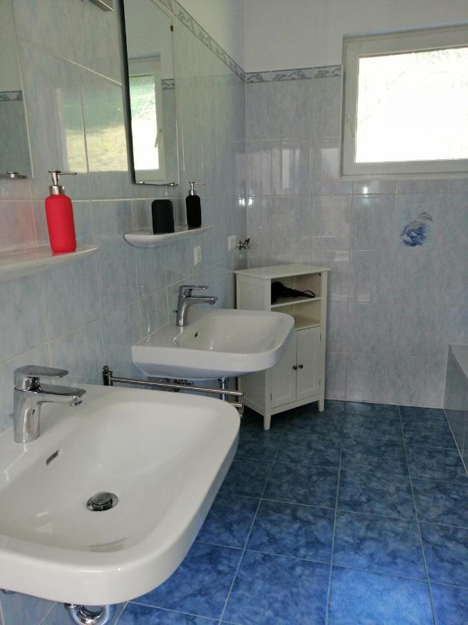 Ferienwohnung Semler Puchberg am Schneeberg Εξωτερικό φωτογραφία